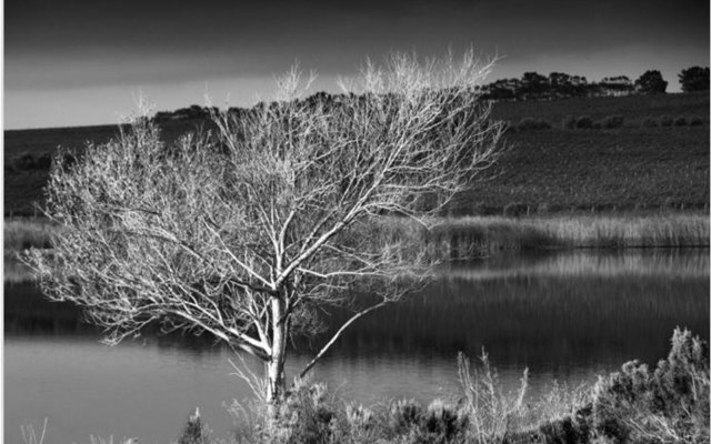  Foto: Marc du Plessis